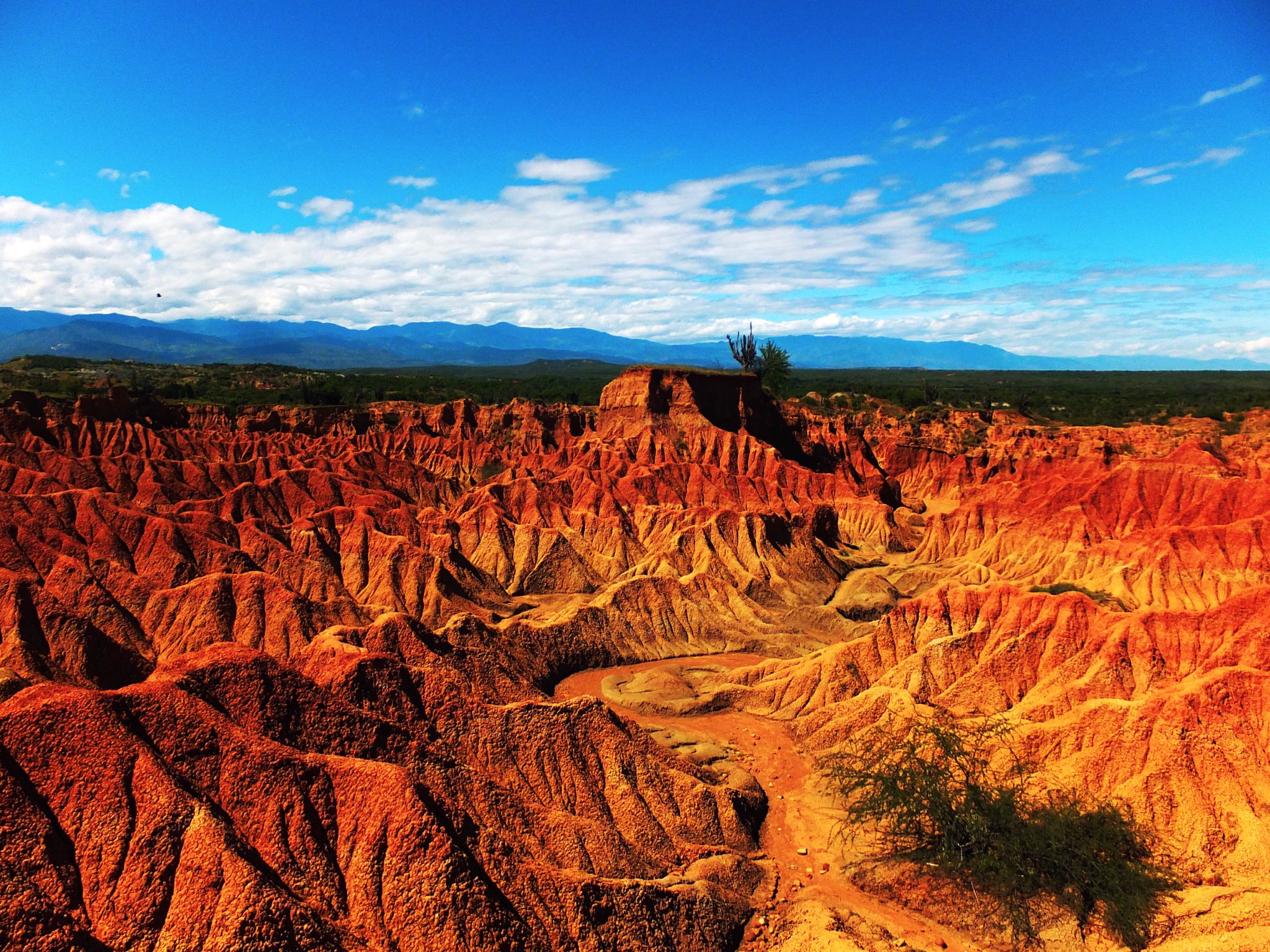 Top Spots For Deserts In Colombia