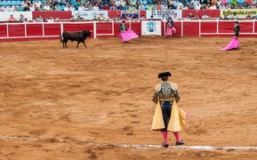 Monumental Plaza de Toros Mexico in Mexico, State of Mexico | Authentic Experience - Rated 5.3