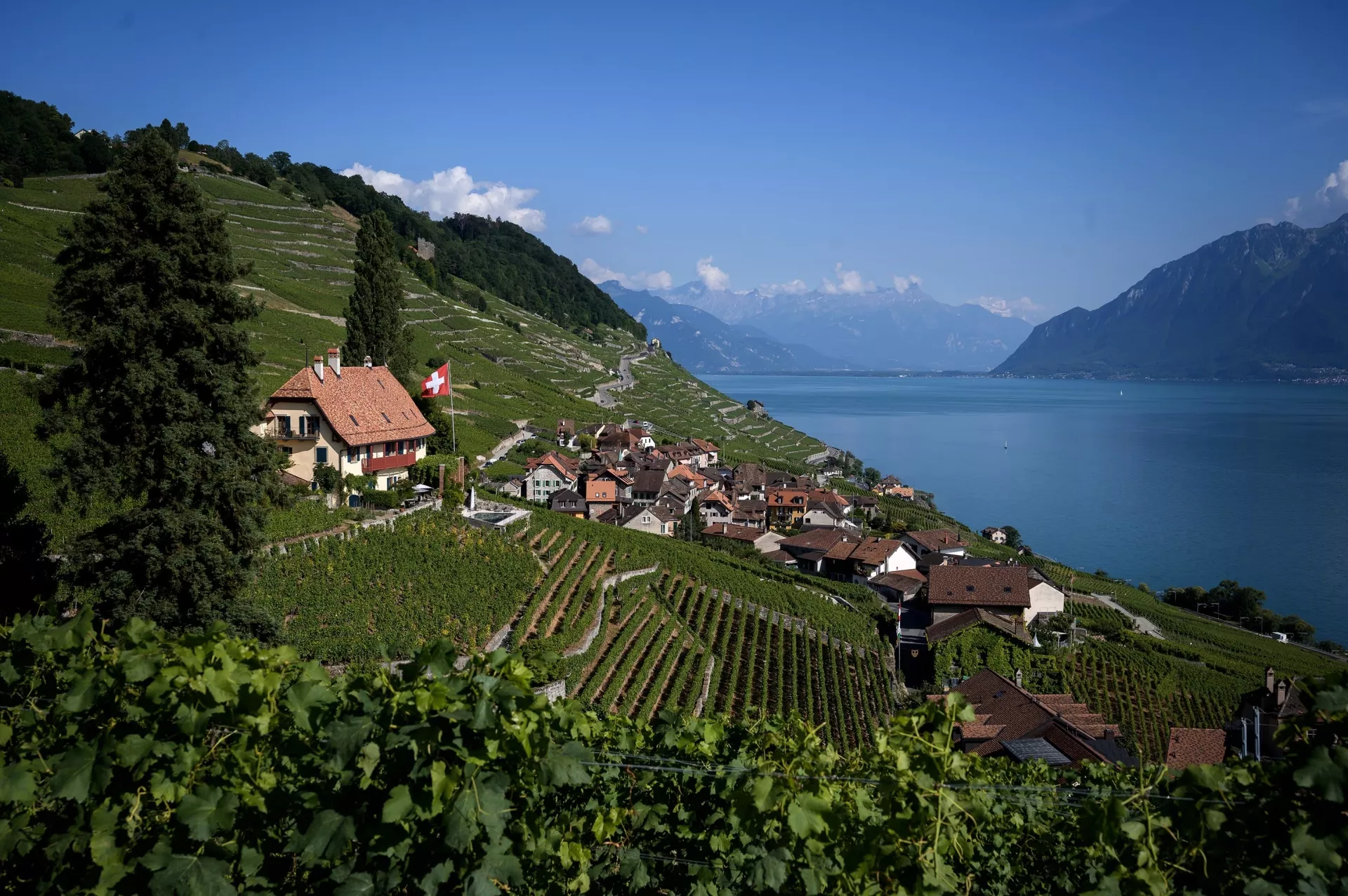 Area Cross Duplex Simon Et Maude Vogel in Switzerland, Europe | Wineries - Rated 0.7
