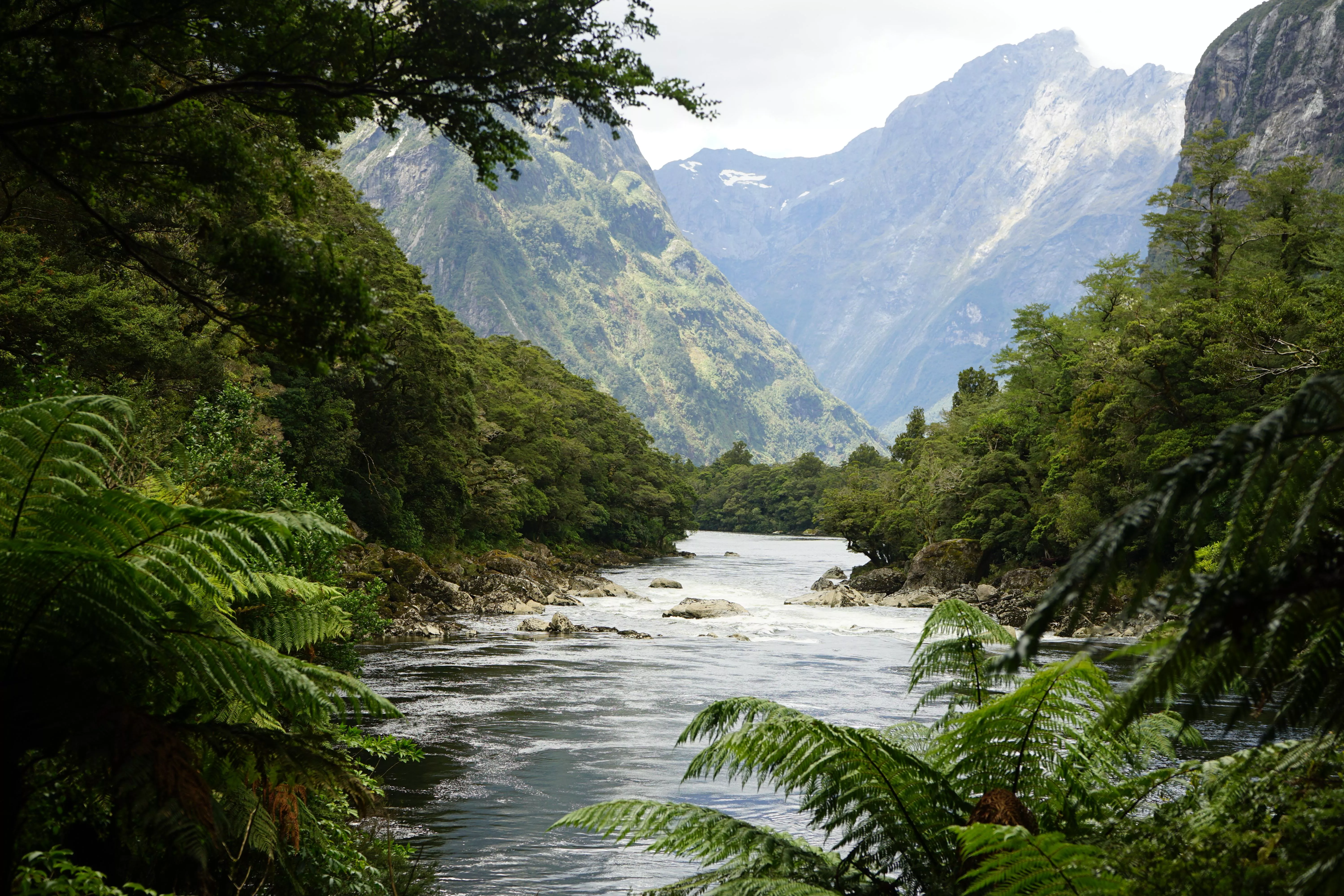 Milford Track in New Zealand, Australia and Oceania | Trekking & Hiking - Rated 4.1