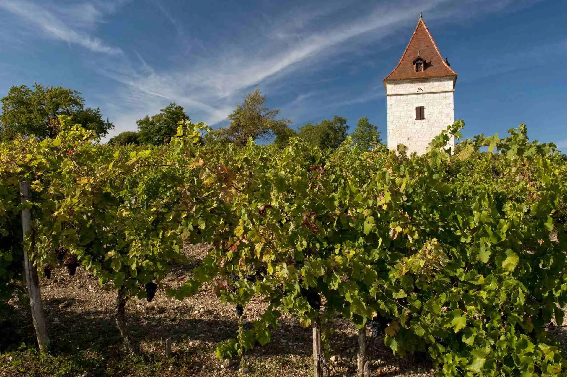 Feray Wineyards in France, Europe | Wineries - Rated 0.8