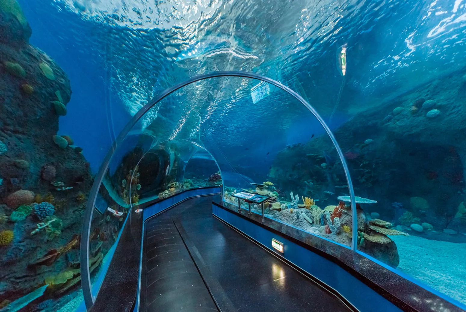 Primorsky Aquarium Scientific and Educational Complex in Russia, Europe | Aquariums & Oceanariums - Rated 5.2