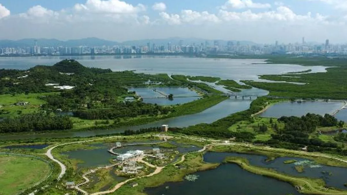 Mai Po Nature Reserve in China, East Asia | Nature Reserves - Rated 3.5