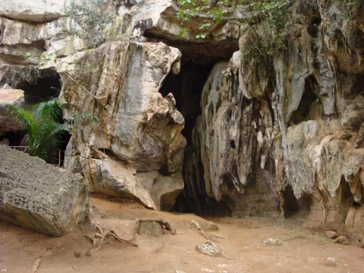 Amboni Caves in Tanzania, Africa | Caves & Underground Places - Rated 0.8
