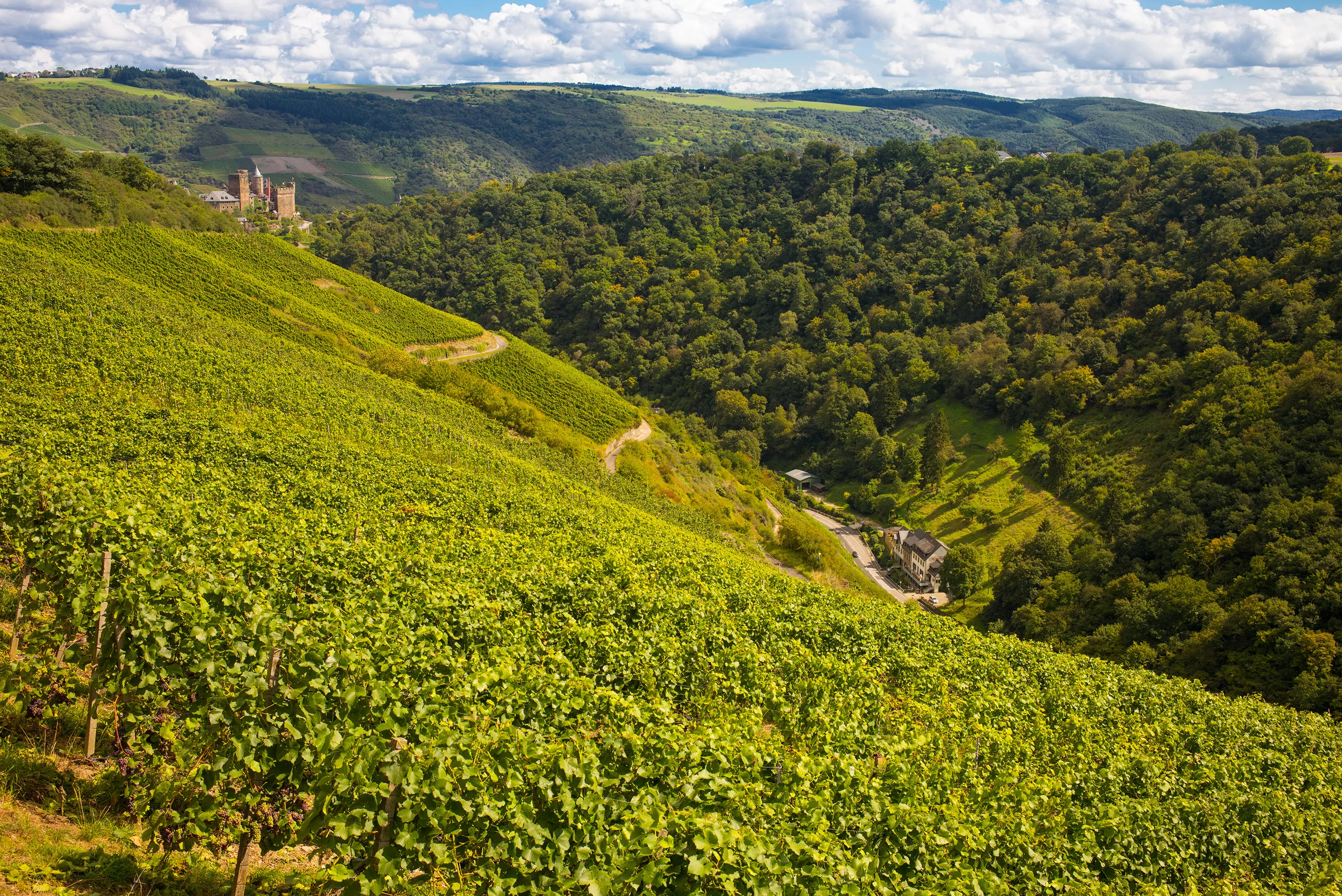 Lanius-Knab Winery Owner in Germany, Europe | Wineries - Rated 0.9