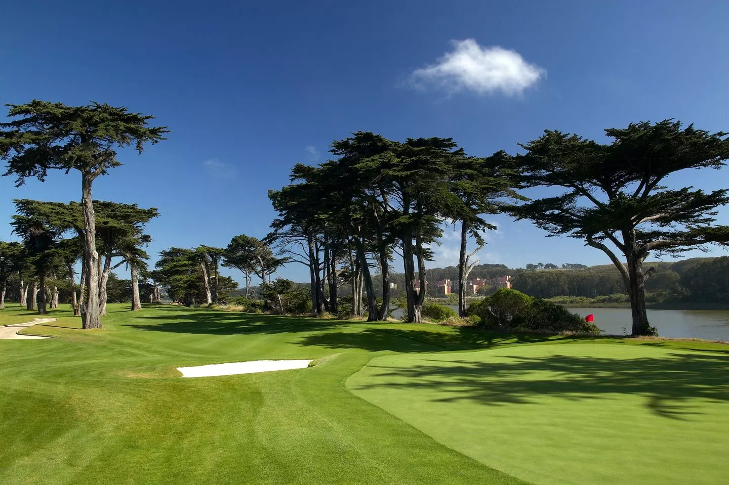 TPC Harding Park in USA, North America | Golf - Rated 3.6