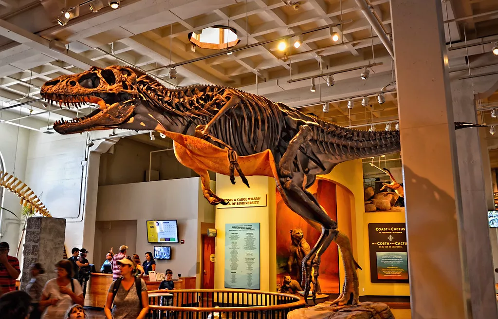 San Diego Natural History Museum in USA, North America | Museums - Rated 3.8