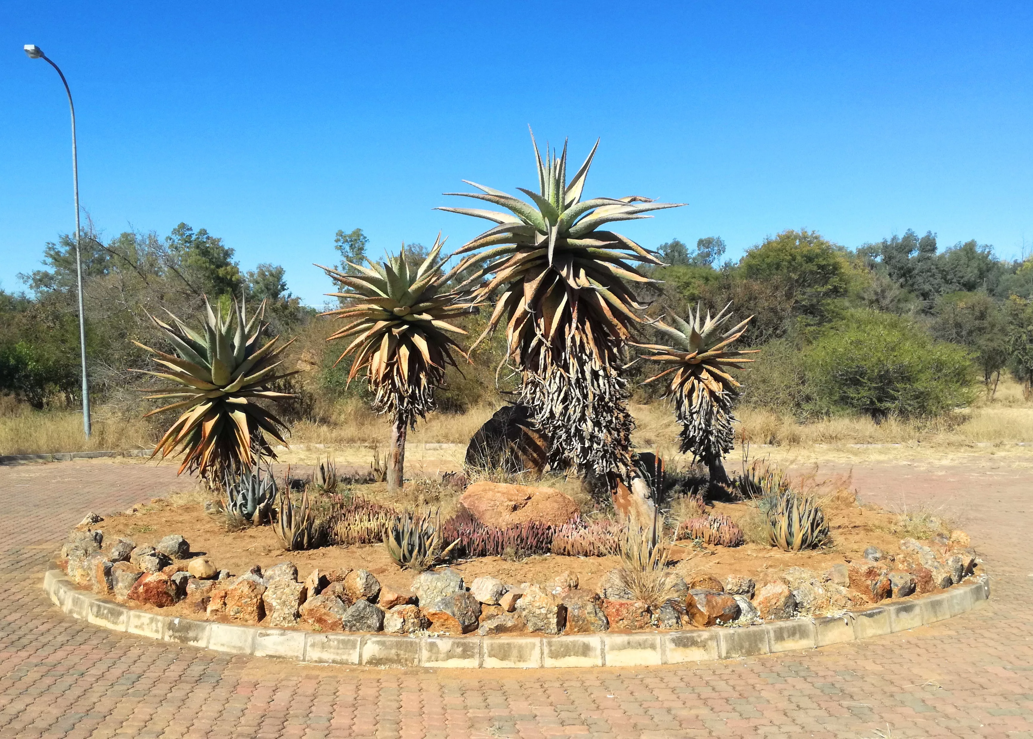 National Botanical Garden in Botswana, Africa | Botanical Gardens - Rated 0.7