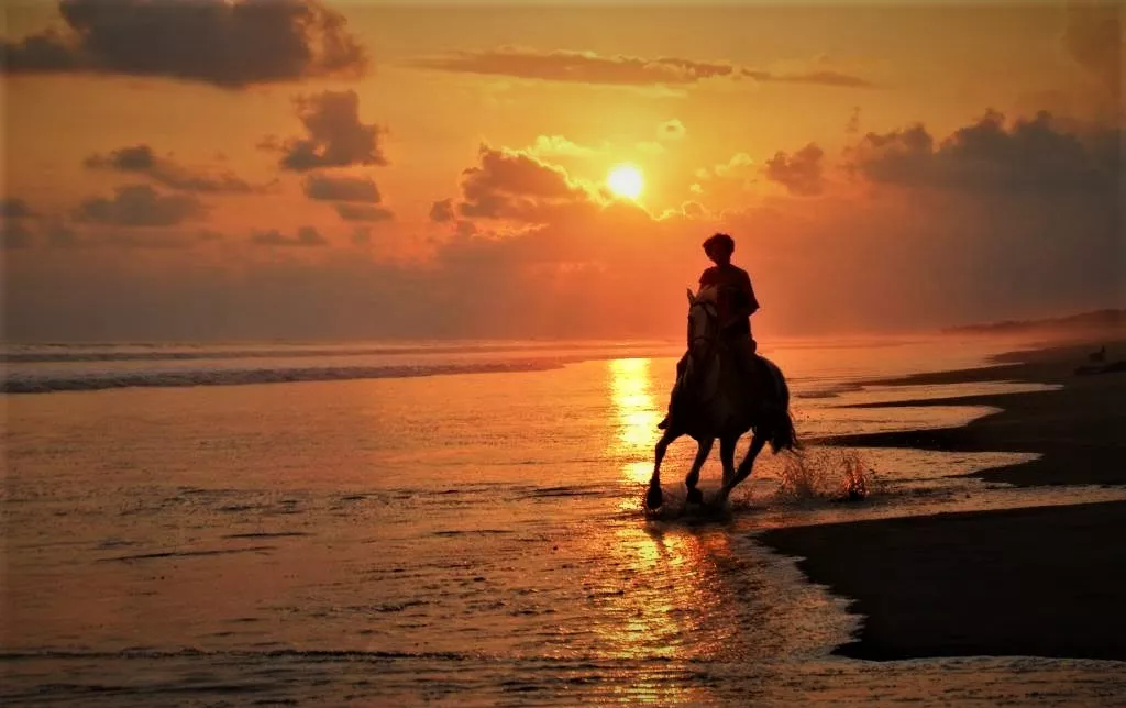 The Riding Adventure in Costa Rica, North America | Horseback Riding - Rated 1