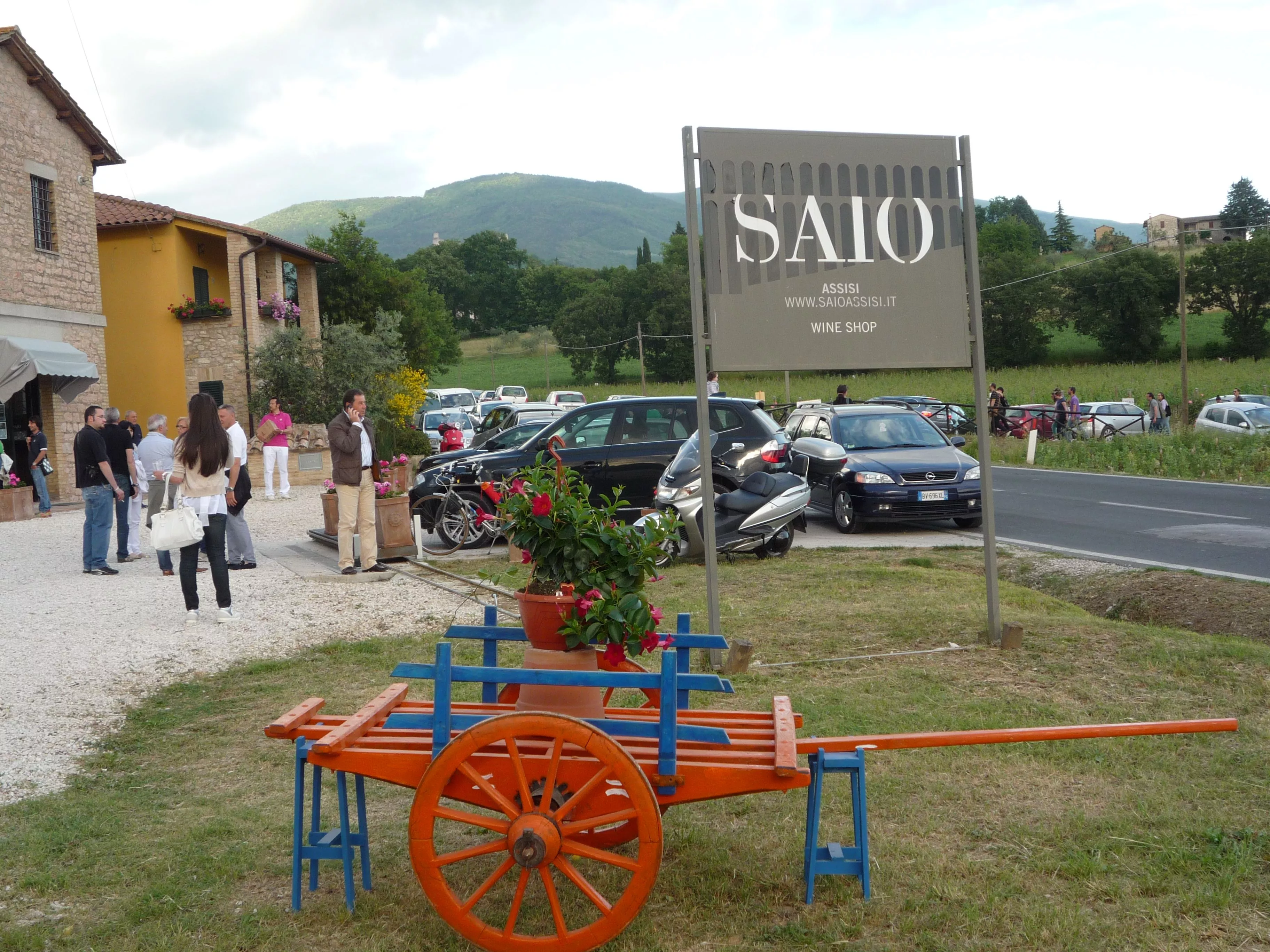 SAIO Wine Shop Agricultural Company in Italy, Europe | Wineries - Rated 3.9