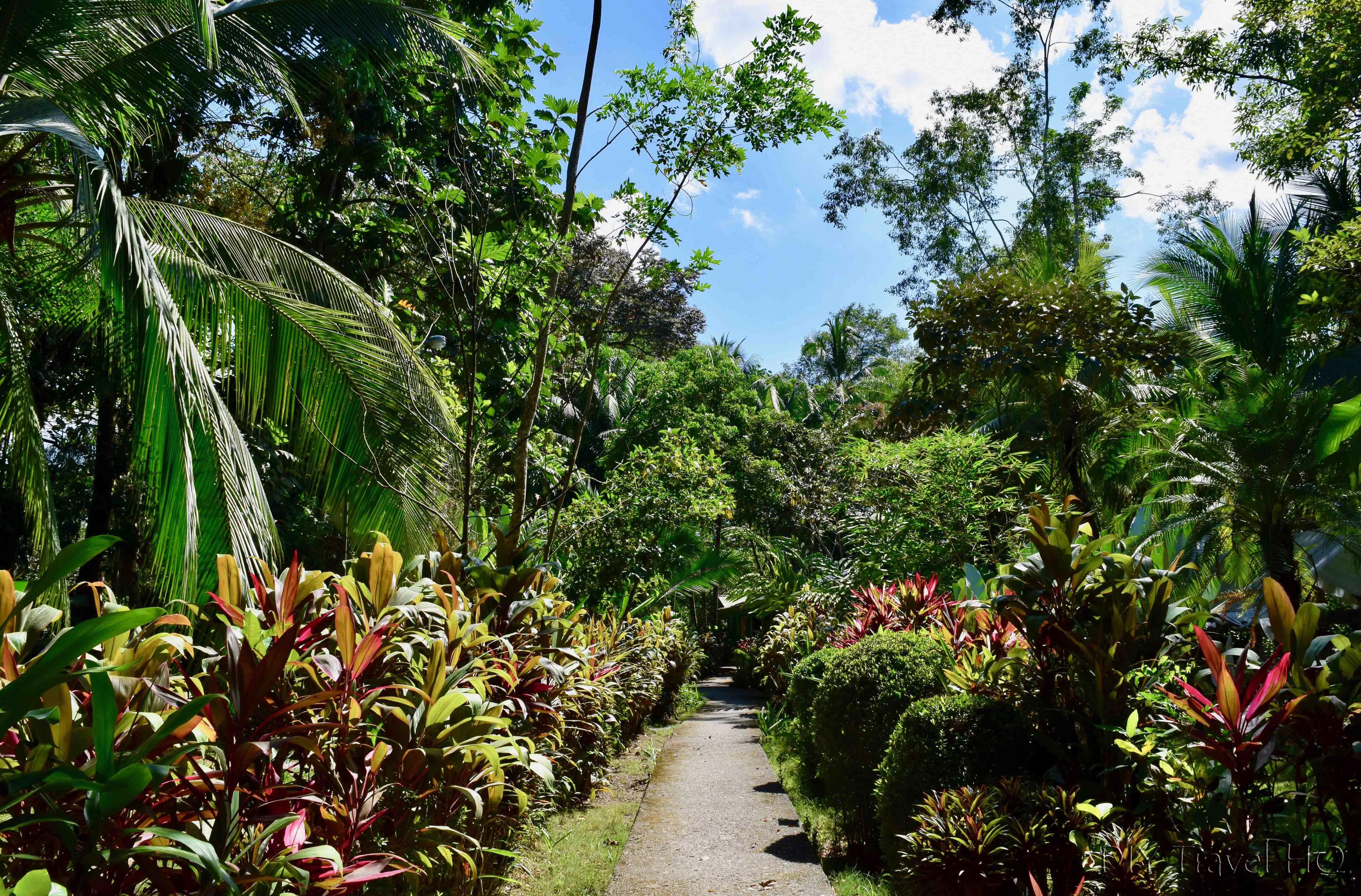 Victoria Botanical Gardens in Republic of Seychelles, Africa | Botanical Gardens - Rated 3.5
