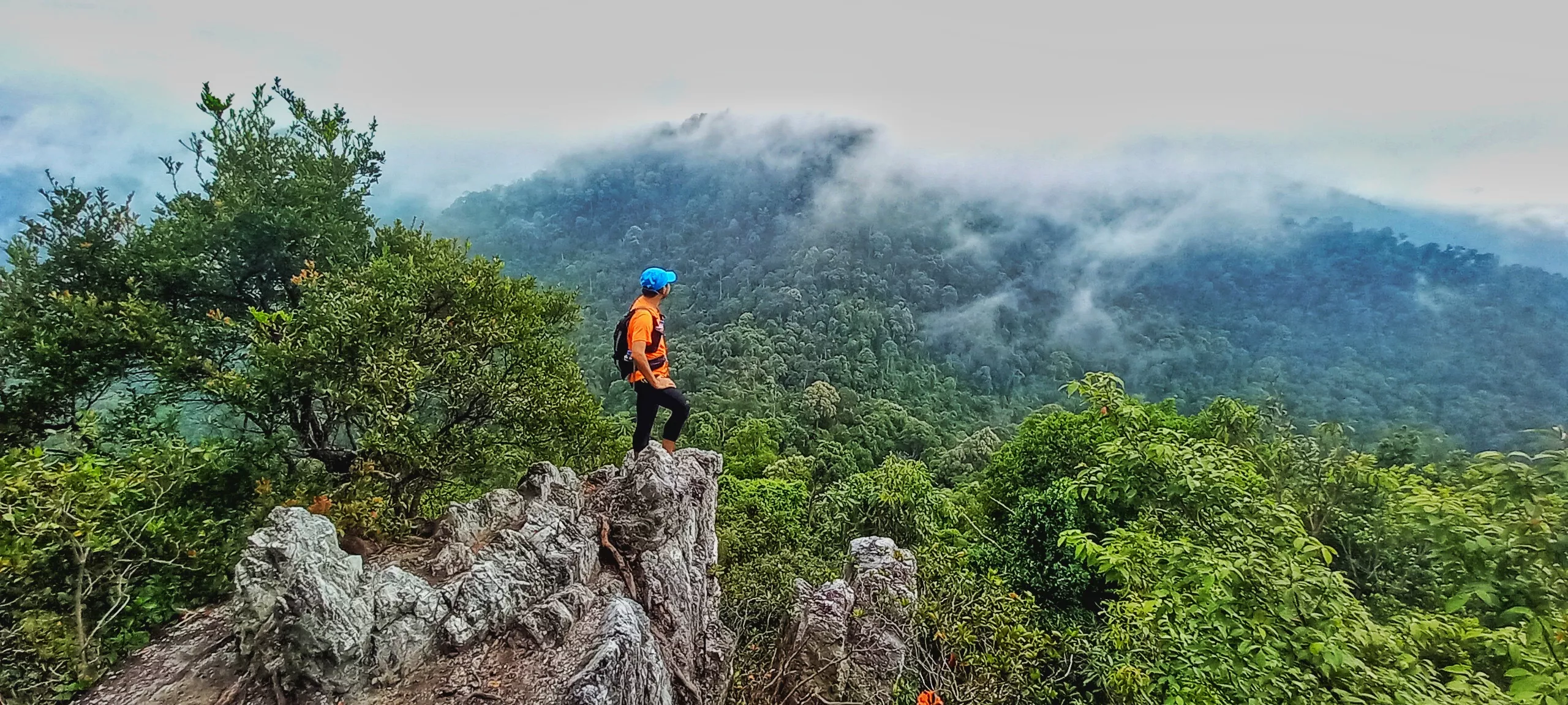 Bukit Chenuang Trail in Malaysia, East Asia | Trekking & Hiking - Rated 0.7