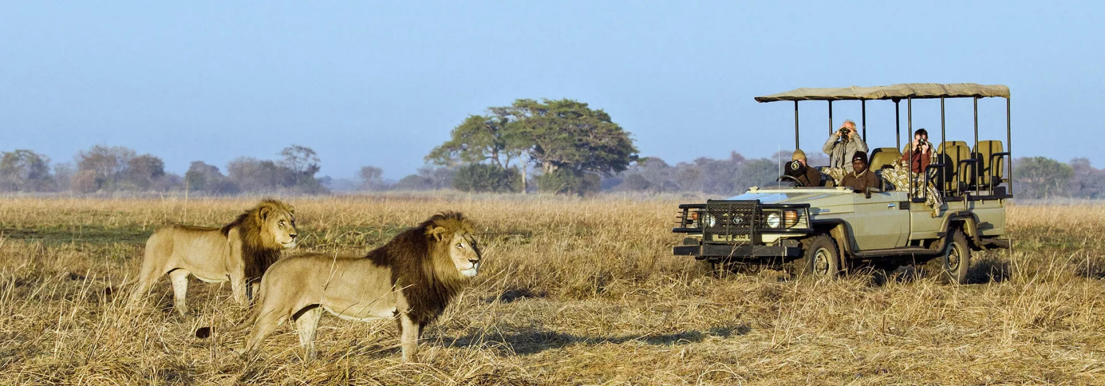 Wild Frontiers Uganda Safaris in Uganda, Africa | Safari - Rated 0.8