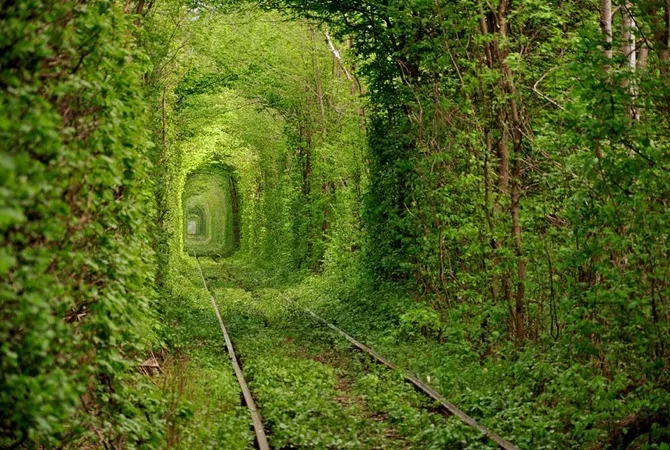 Tunnel of Love in Ukraine, Europe | Nature Reserves - Rated 3.7