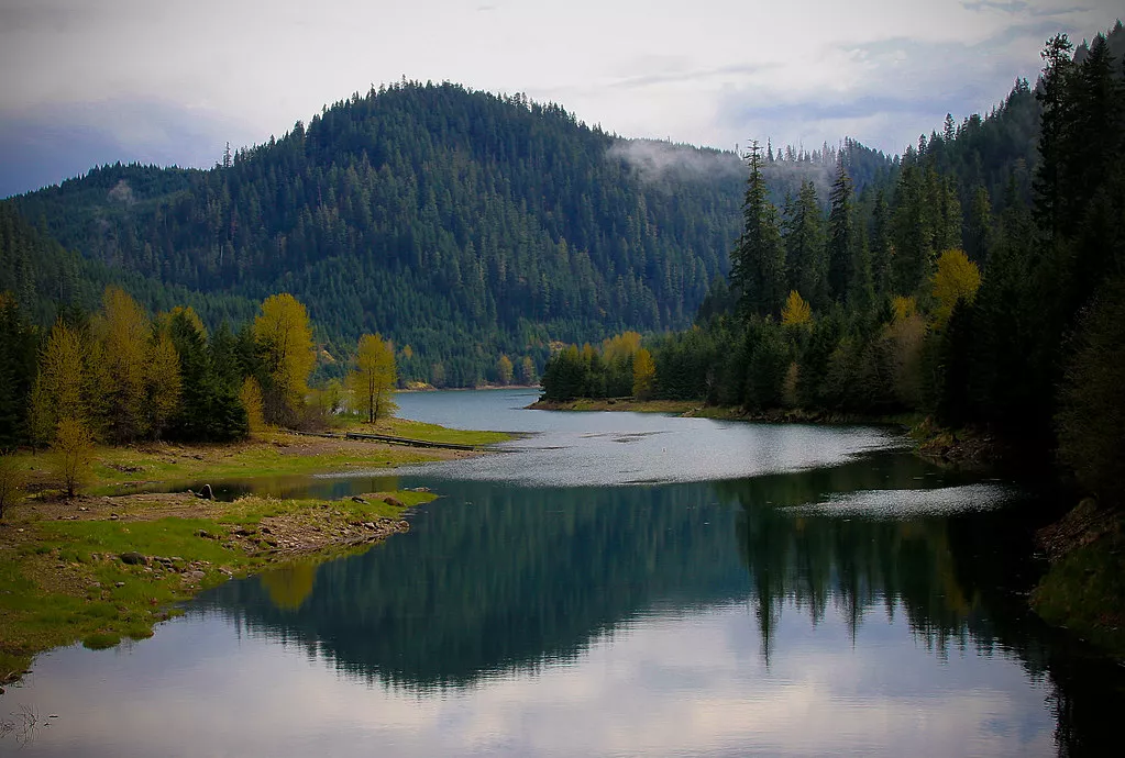 Willamette National Forest in USA, North America | Nature Reserves - Rated 4.1