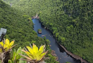 Kayeter National Park in Guyana, South America | Parks - Rated 0.9