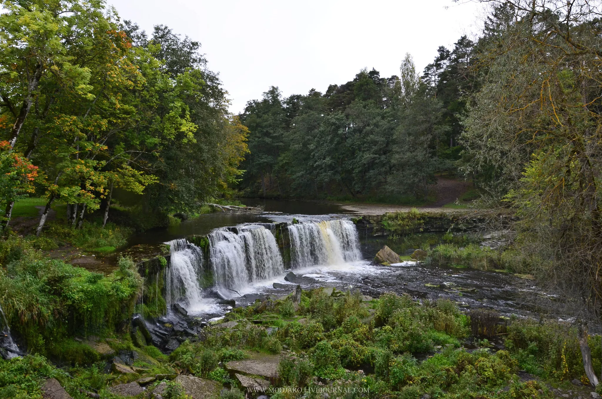 Nature Trail in Keila Joa Park in Estonia, Europe | Waterfalls,Trekking & Hiking - Rated 4.2