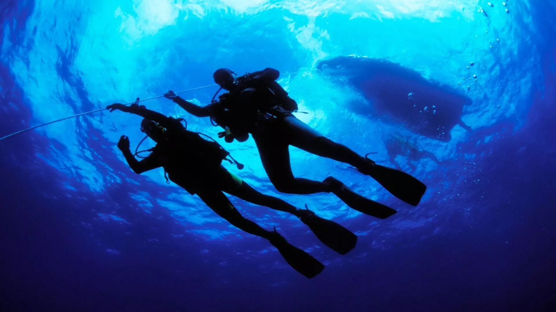 Big Blue Divers in Republic of Seychelles, Africa | Diving - Rated 0.8
