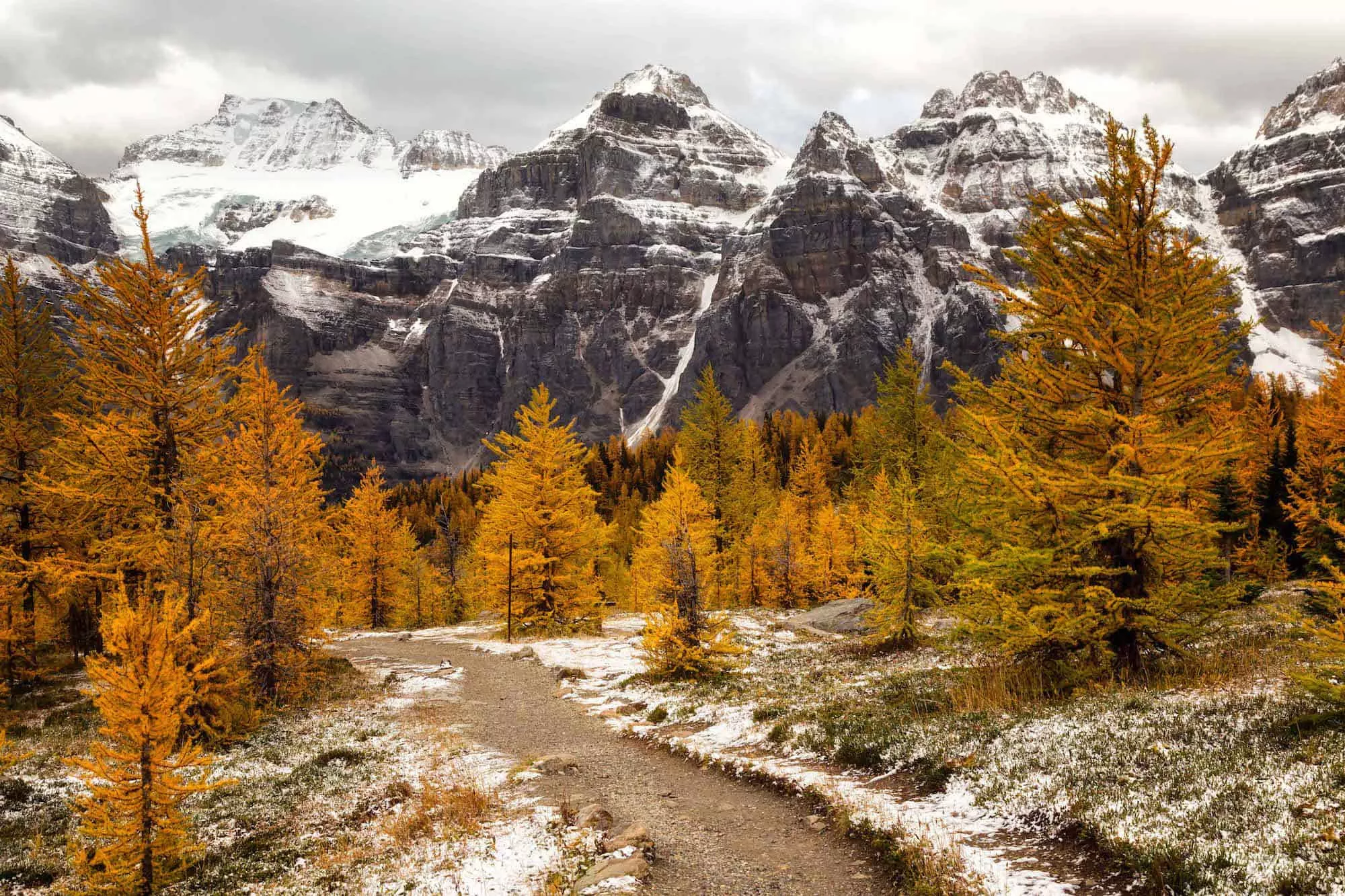 Larch Tree Valley Trek in Canada, North America | Trekking & Hiking - Rated 4.1