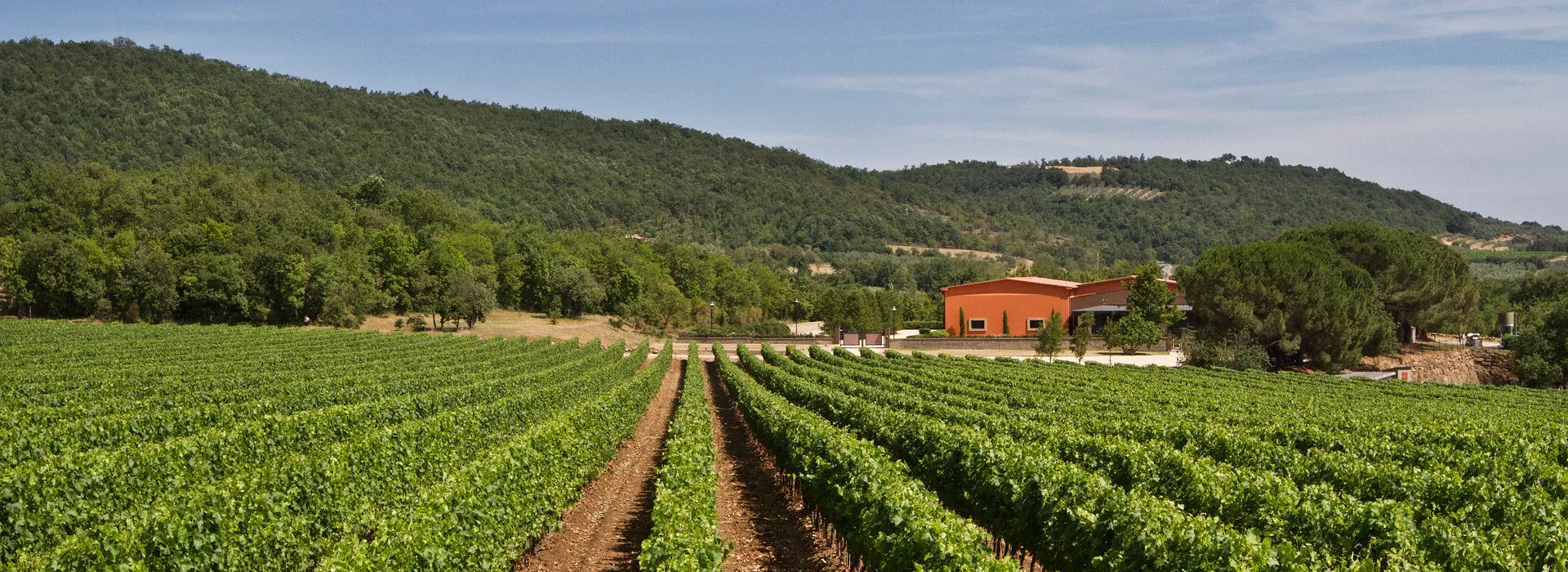 Marchesi De 'Frescobaldi in Italy, Europe | Wineries - Rated 0.8