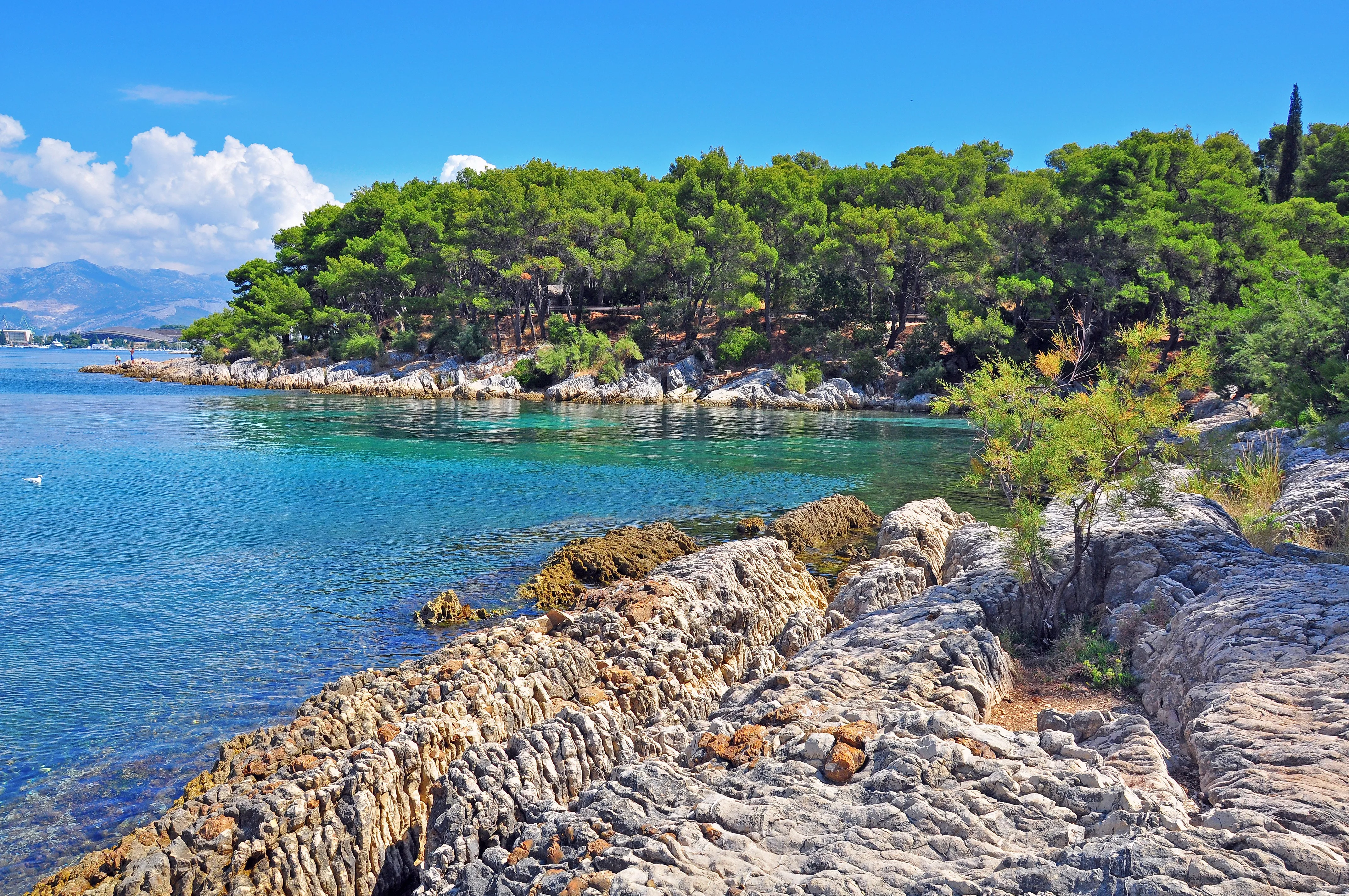 Beach Bene in Croatia, Europe | Beaches - Rated 3.5