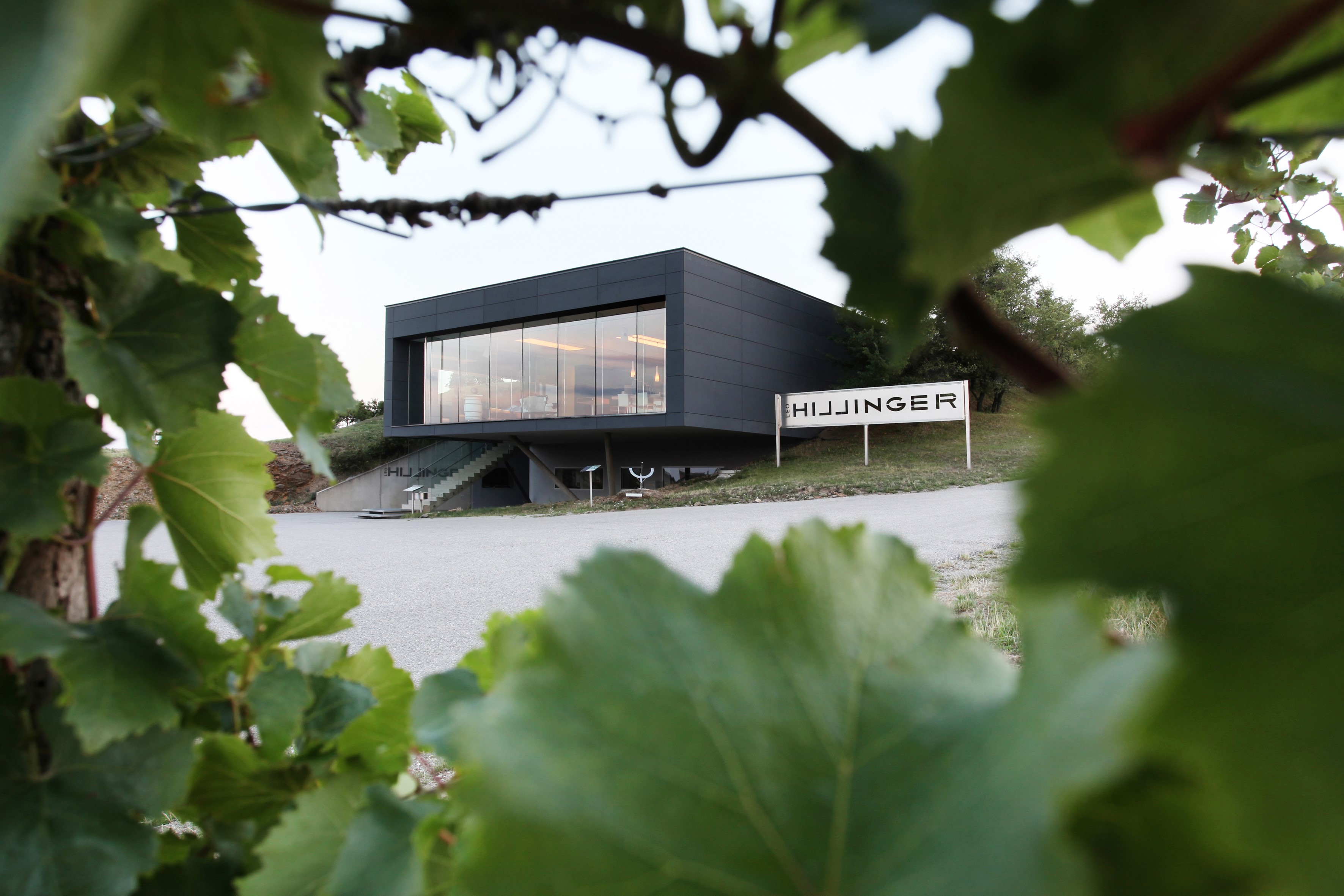 Leo Hillinger GmbH in Austria, Europe | Wineries - Rated 0.9