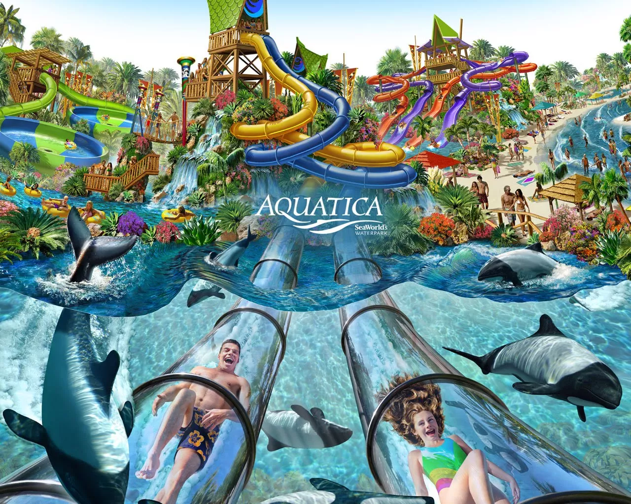 Aquatica in USA, North America | Water Parks - Rated 5.5