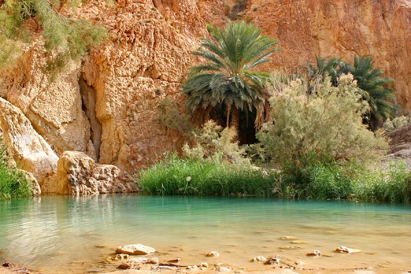 Chebika Oasis in Tunisia, Africa | Oases - Rated 3.7