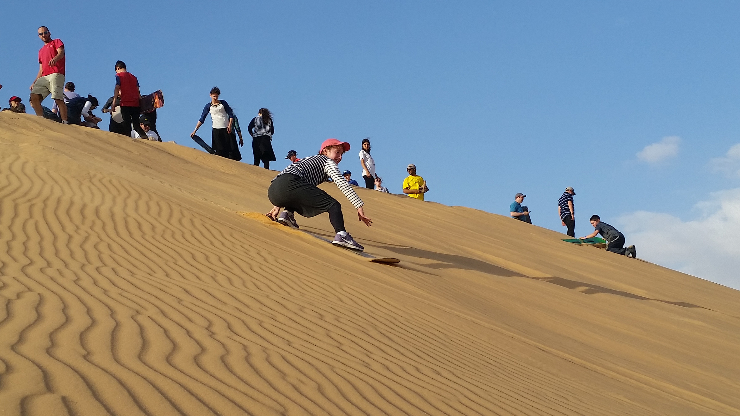 Sparrow in the Desert in Israel, Middle East | Sandboarding - Rated 0.8