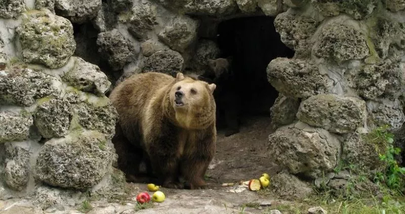 Varna Zoo in Bulgaria, Europe | Zoos & Sanctuaries - Rated 3.7