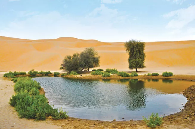Liwa Oasis in United Arab Emirates, Middle East | Oases - Rated 3.8