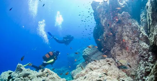 Cote Plongee in France, Europe | Scuba Diving - Rated 4.1