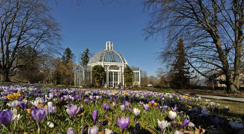 Geneva Botanical Garden in Switzerland, Europe | Botanical Gardens - Rated 4