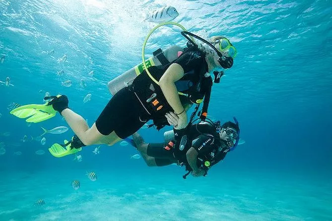 Diving Teide Divers PADI 5 Star Dive Resort in Spain, Europe | Scuba Diving - Rated 4.1