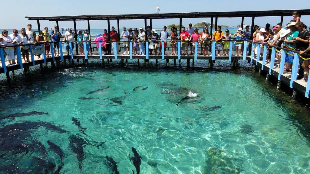 Oceanarium Rosario Islands in Colombia, South America | Aquariums & Oceanariums - Rated 4.3