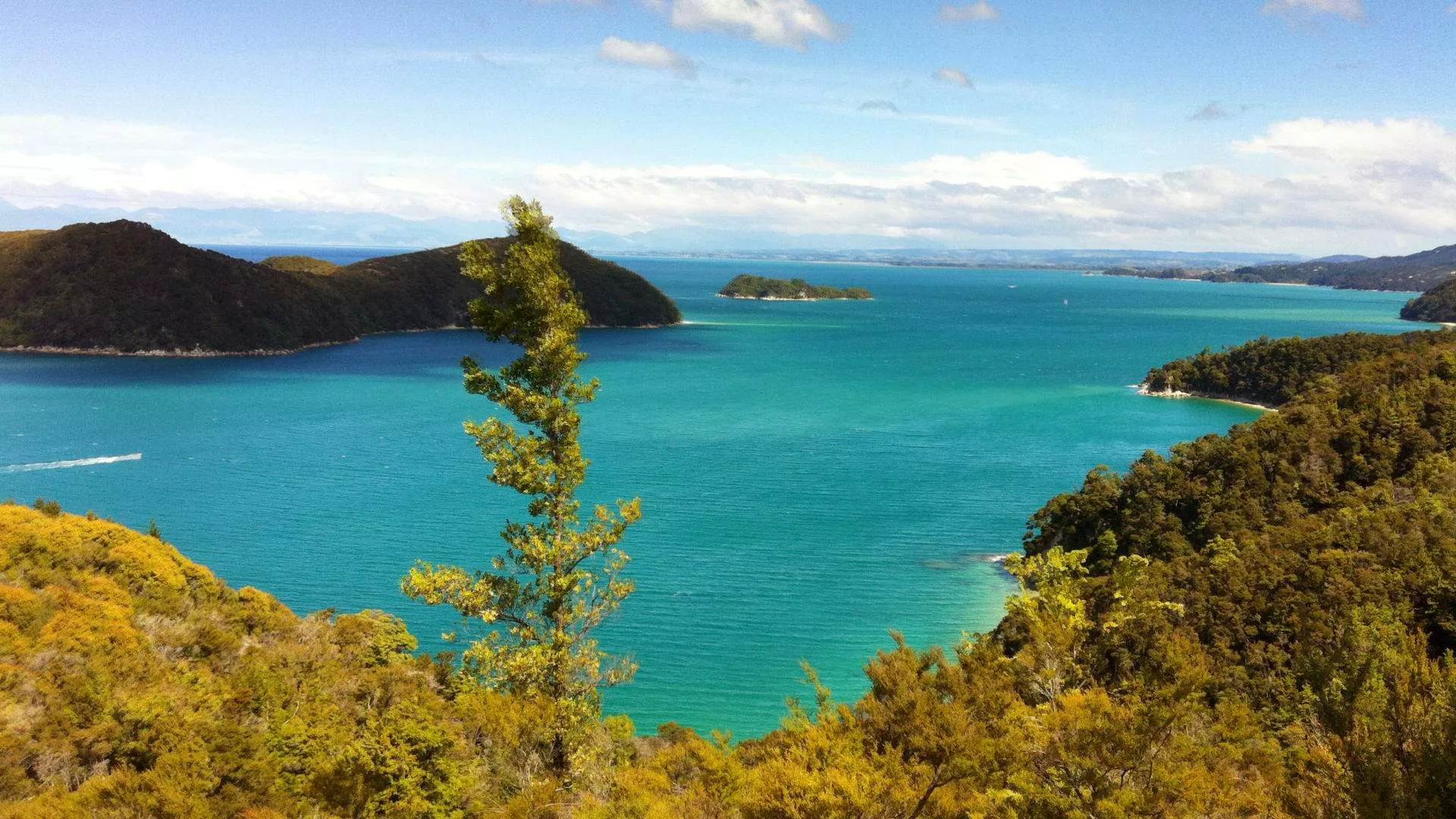 Abel Tasman Coastal Track in New Zealand, Australia and Oceania | Trekking & Hiking - Rated 3.5