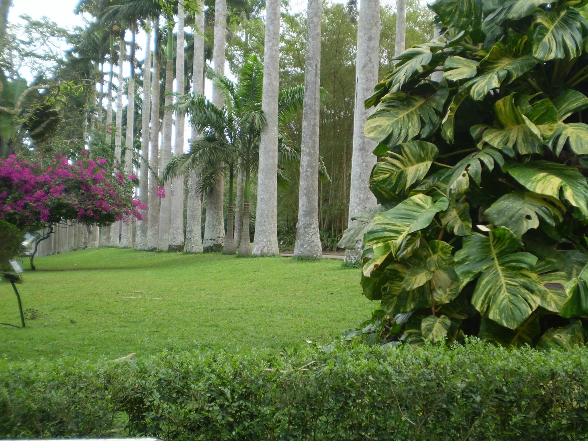 Aburi Botanical Gardens in Ghana, Africa | Botanical Gardens - Rated 3.6