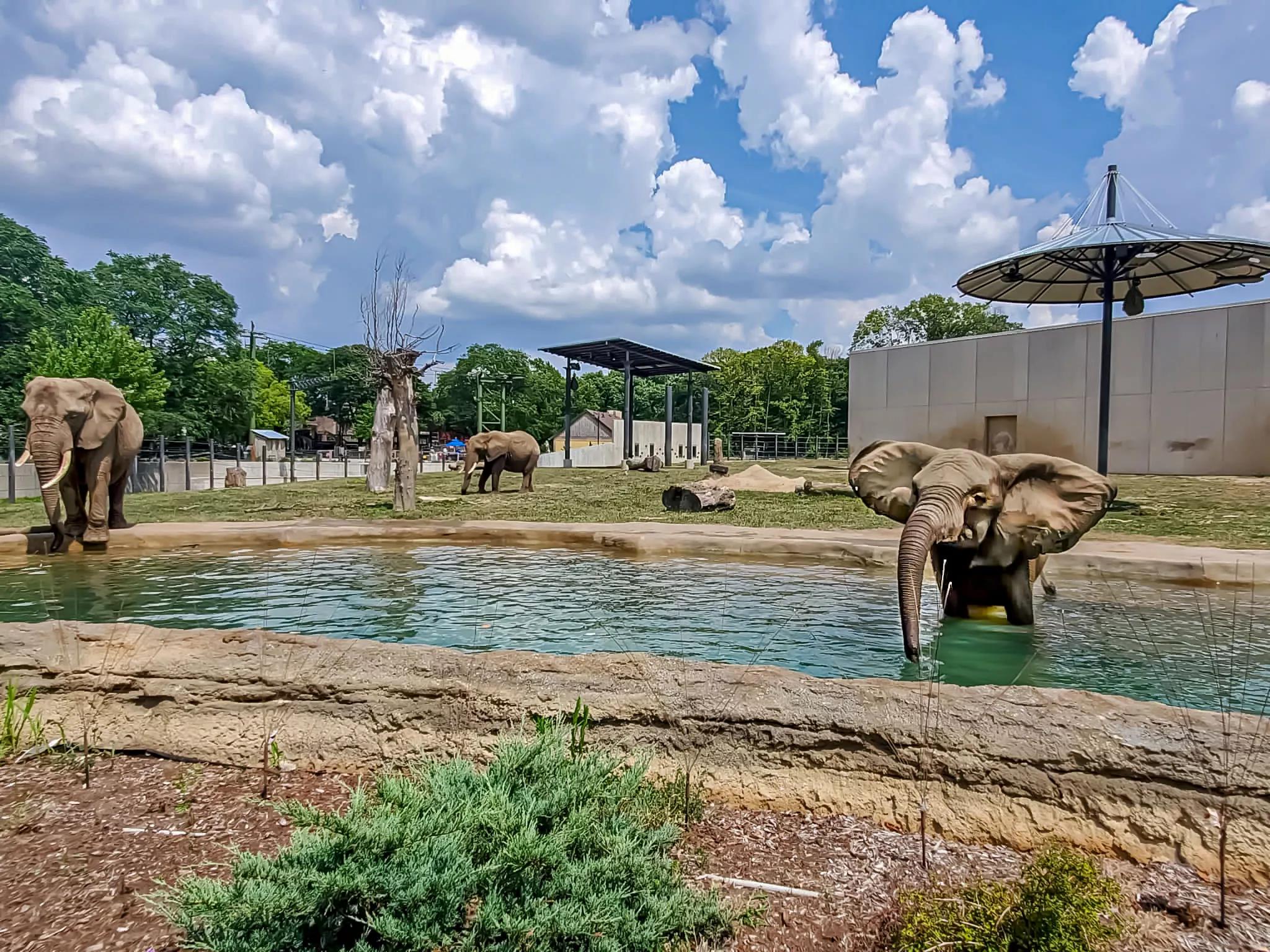 The Milwaukee County Zoo in USA, North America | Zoos & Sanctuaries - Rated 5