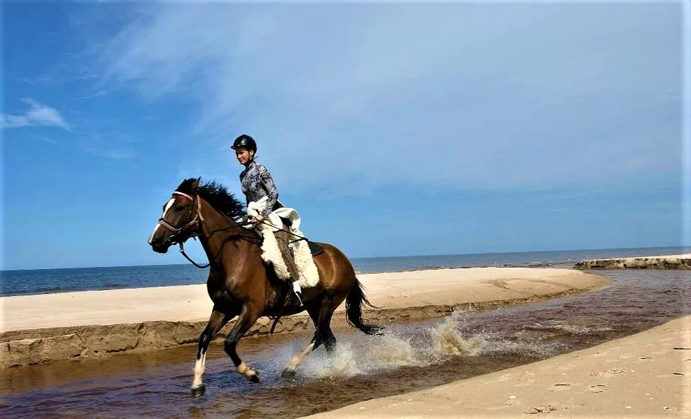 AdventureRide Ltd. in Latvia, Europe | Horseback Riding - Rated 1