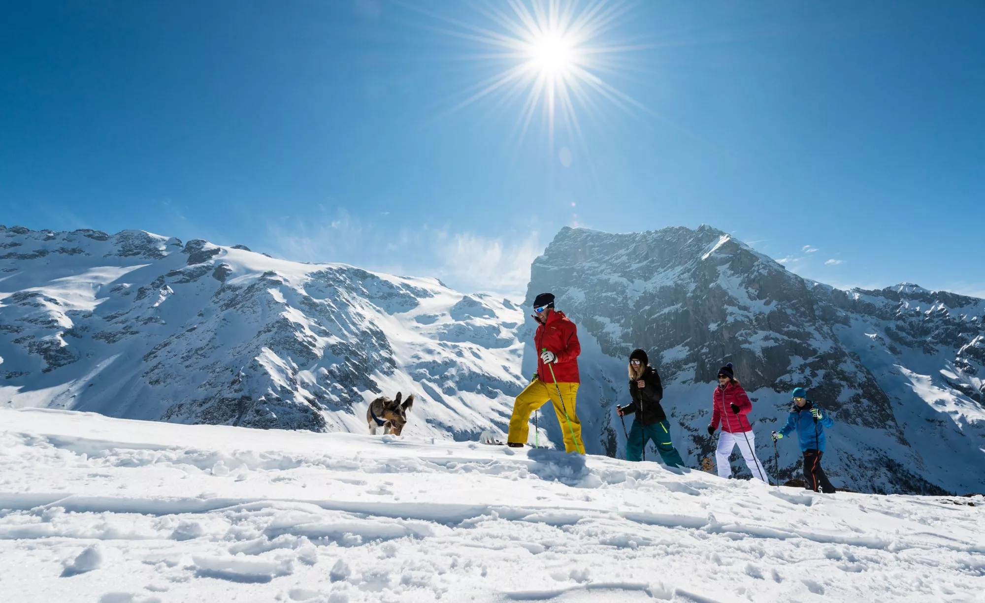 Adventure Engelberg in Switzerland, Europe | Snowboarding,Skiing - Rated 4.1