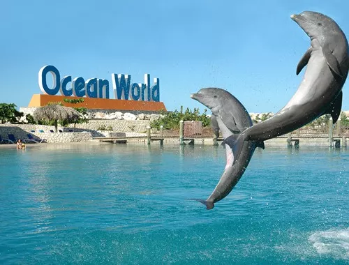 Adventure Park Ocean World in Dominican Republic, Caribbean | Water Parks - Rated 4.1