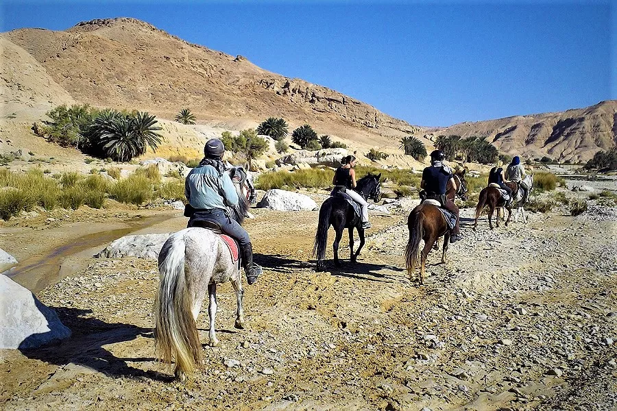 African Caravan Tours in Tunisia, Africa | Horseback Riding - Rated 1