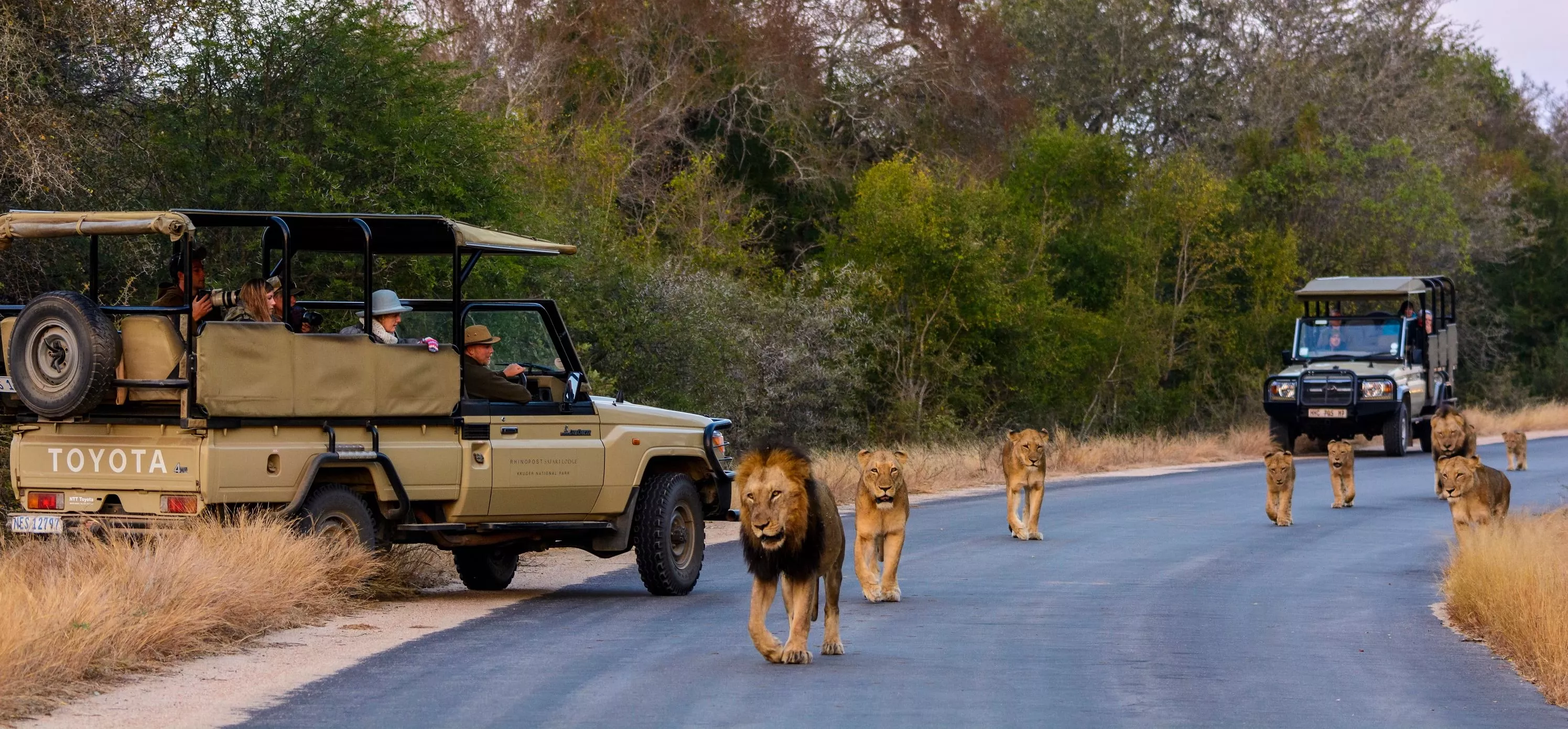 Afro Trek Safaris in Botswana, Africa | Safari - Rated 0.7