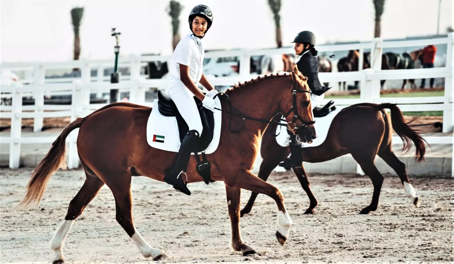 Ajman Equestrian Club in United Arab Emirates, Middle East | Horseback Riding - Rated 4.8