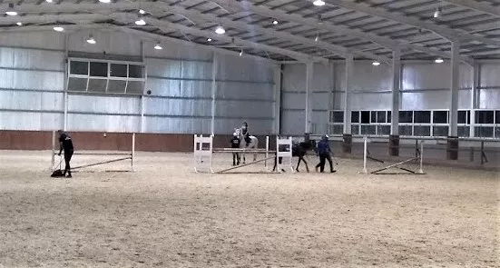 AlAryan Equestrian Centre in Jordan, Middle East | Horseback Riding - Rated 1