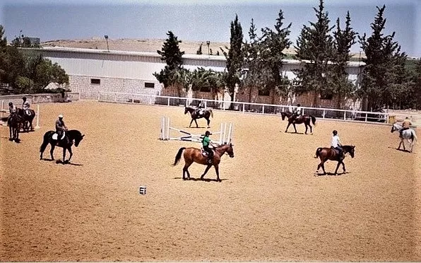 AlAsayel Equestrian Club in Jordan, Middle East | Horseback Riding - Rated 0.9