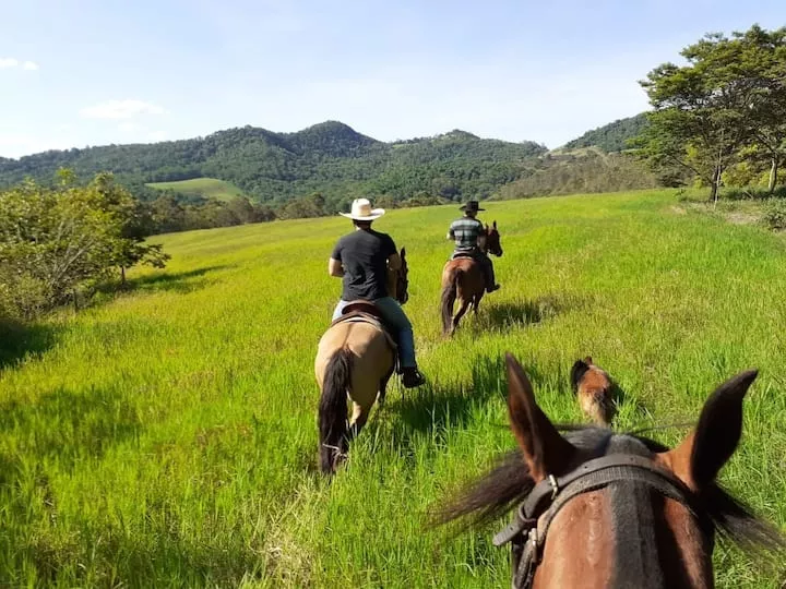 Alberto's Horses in Costa Rica, North America | Horseback Riding - Rated 0.9