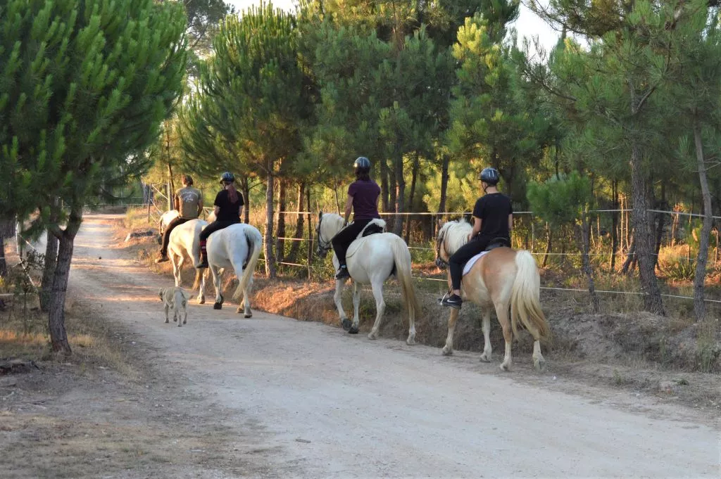 Albufeira Riding Centre in Portugal, Europe | Horseback Riding - Rated 1