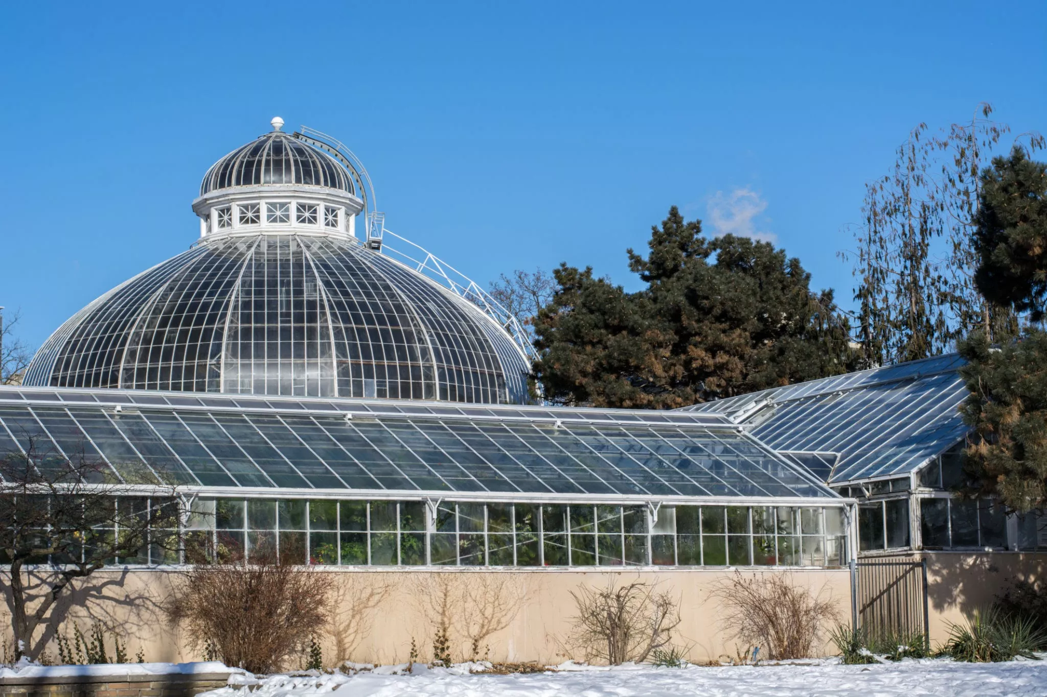 Allan's Gardens in Canada, North America | Botanical Gardens - Rated 4.1