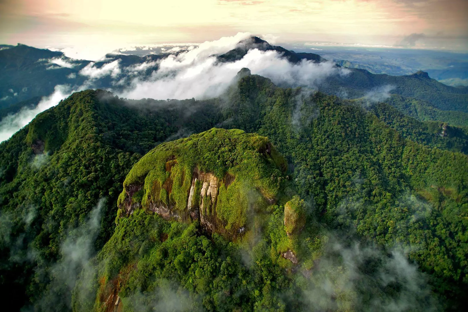Altos de Campana National Park in Panama, North America | Trekking & Hiking - Rated 3.9